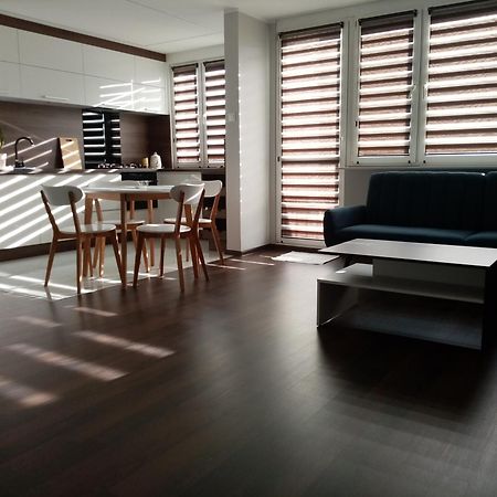 Lagan Apartament Będzin エクステリア 写真
