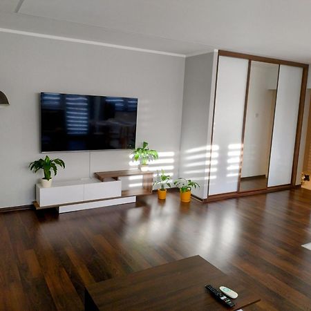 Lagan Apartament Będzin エクステリア 写真